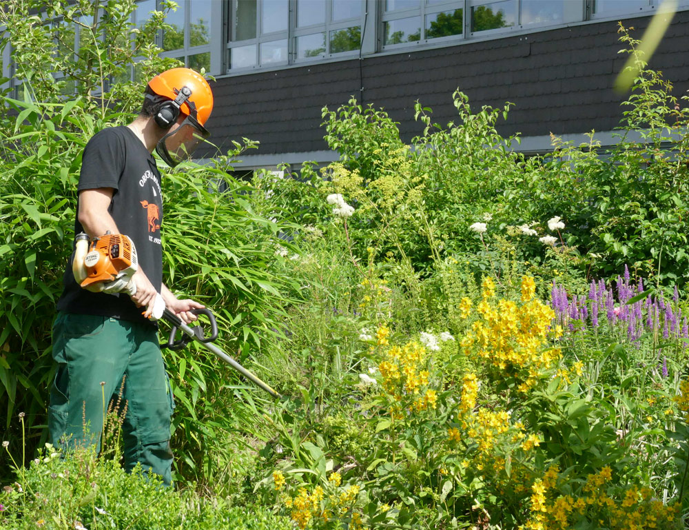 garten-3