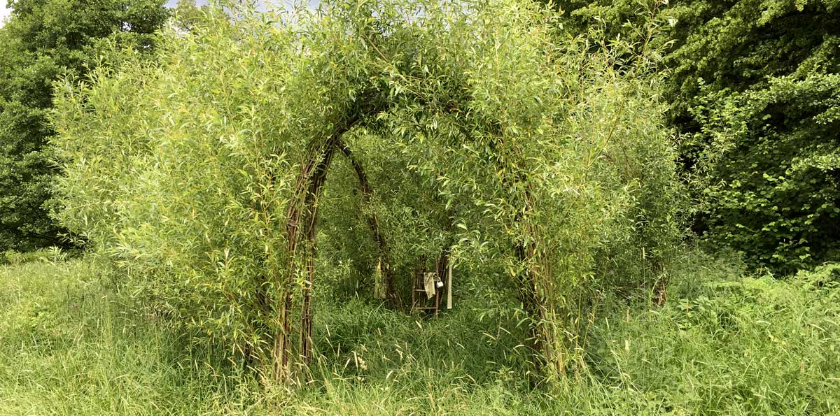 weidendom-2019